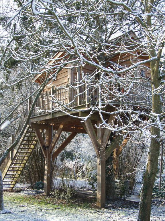 Chambres D'Hotes De La Vallee Javot Féricy 외부 사진